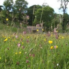 Inspiring Meadows Conference Proceedings (Sept 2015)
