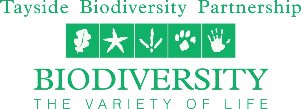 Tayside Biodiversity Partnership shortlisted for RSPB Nature of Scotland Award