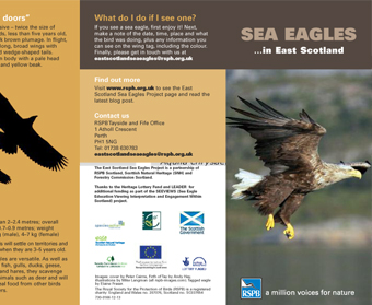 Sea Eagles Leaflet
