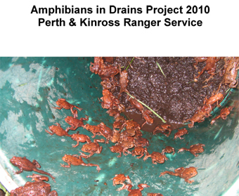 Amphibians in Drains Report 2010