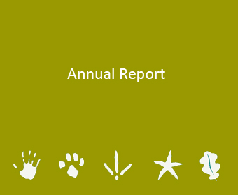 Report 2008 - 2009