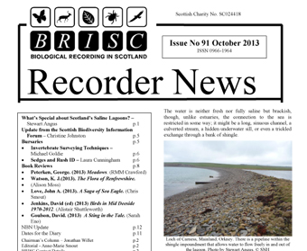 BRISC Recorder News 91