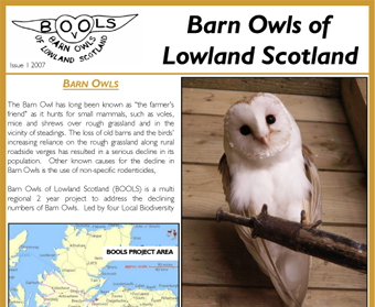 Barn Owls of Lowland Scotland Newsletter 1