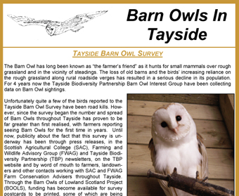 Barn Owls In Tayside Newletter 1