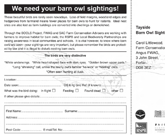 Have you seen a Barn Owl Postcard