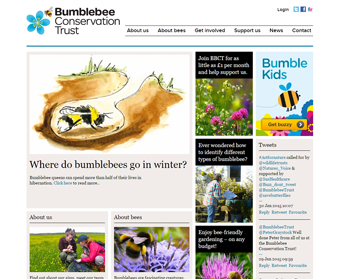 Bumblebee Conservation Trust