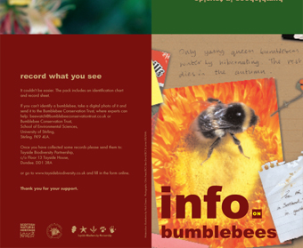 Bumblebee Information Sheet