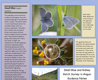 Small Blue information Sheet