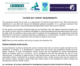 Bat Survey Requirements