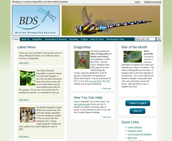 Dragonfly Hotspots - Morton Lochs Guided Walk