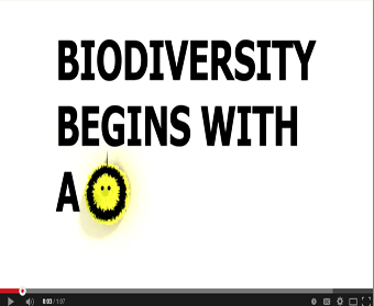 Biodiversity begins ...