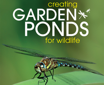 Creating Ponds For Wildlife