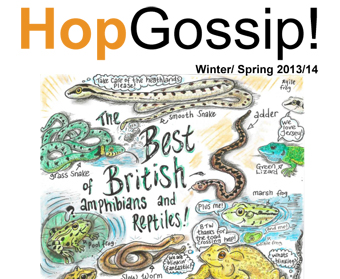 Hop Gossip Winter/Spring 13/14