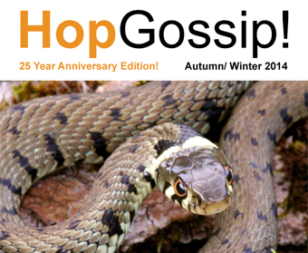 Hop Gossip Autumn/Winter 2014