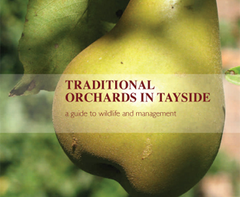 Traditional Orchards in Tayside