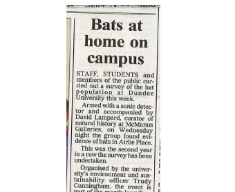 Bats At Home