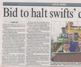 Halt Swifts' Decline