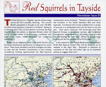 Red Squirrel Newsletter Issue No 1