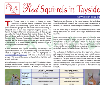 Red Squirrel Newsletter Issue No 2
