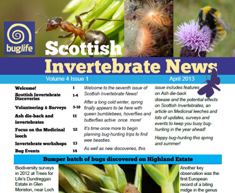 Scottish Invertebrate News April 2013