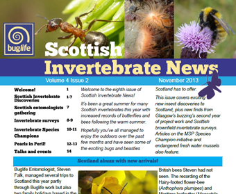 Scottish Invertebrate News Nov 2013