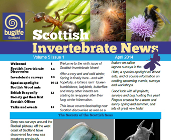 Scottish Invertebrate News April 2014