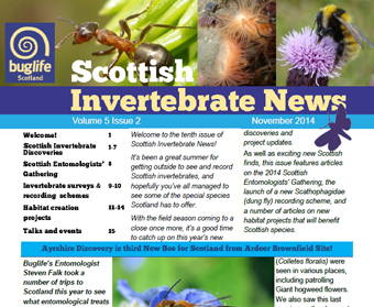 Scottish Invertebrate News Nov 2014