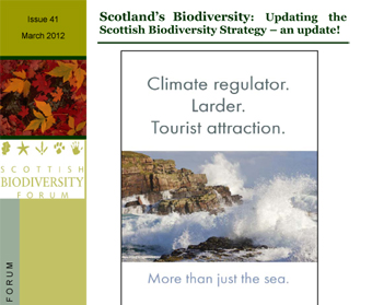 Scottish Biodiversity News 41