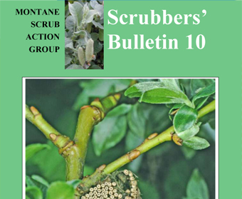Scrubbers' Bulletin 10