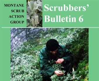 Scrubbers' Bulletin 6
