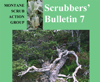 Scrubbers' Bulletin 7