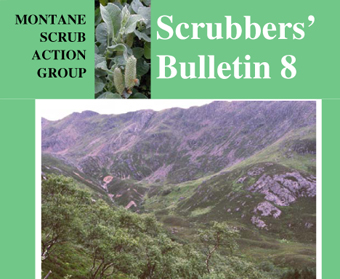 Scrubbers' Bulletin 8