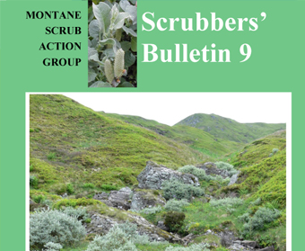Scrubbers' Bulletin 9
