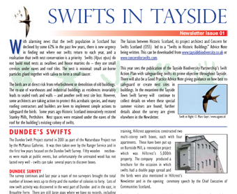 Swifts In Tayside - 1