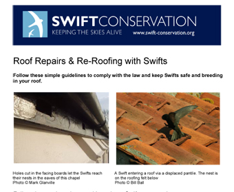 Roof Repairs