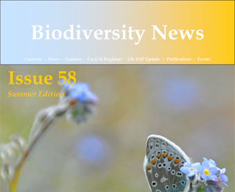 Biodiversity News 58