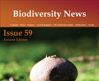 Biodiversity News 59