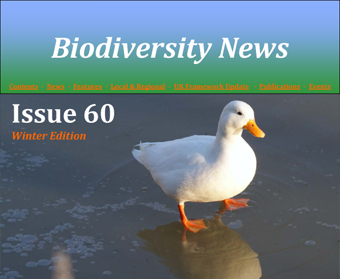 Biodiversity News 60