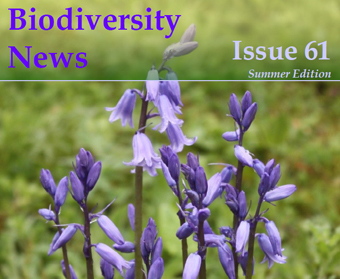 Biodiversity News 61