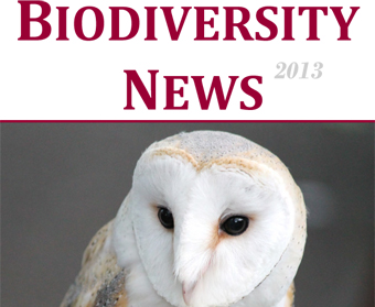 Biodiversity News 62