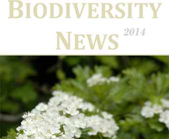 Biodiversity News 63