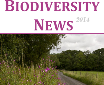 Biodiversity News 65