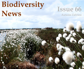 Biodiversity News 66