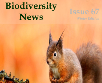Biodiversity News 67