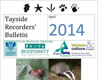 Tayside Recorders Bulletin April 2014