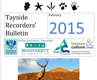 Tayside Recorders' Bulletin Feb 2015