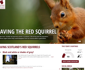 New website for Saving Scotland's Red Squirrels