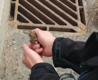 A green cross code for frogs and toads