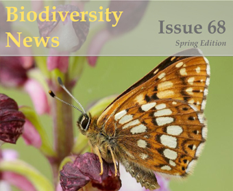 Biodiversity News 68