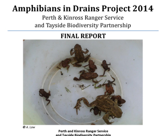 Amphibians in Drains Report 2014